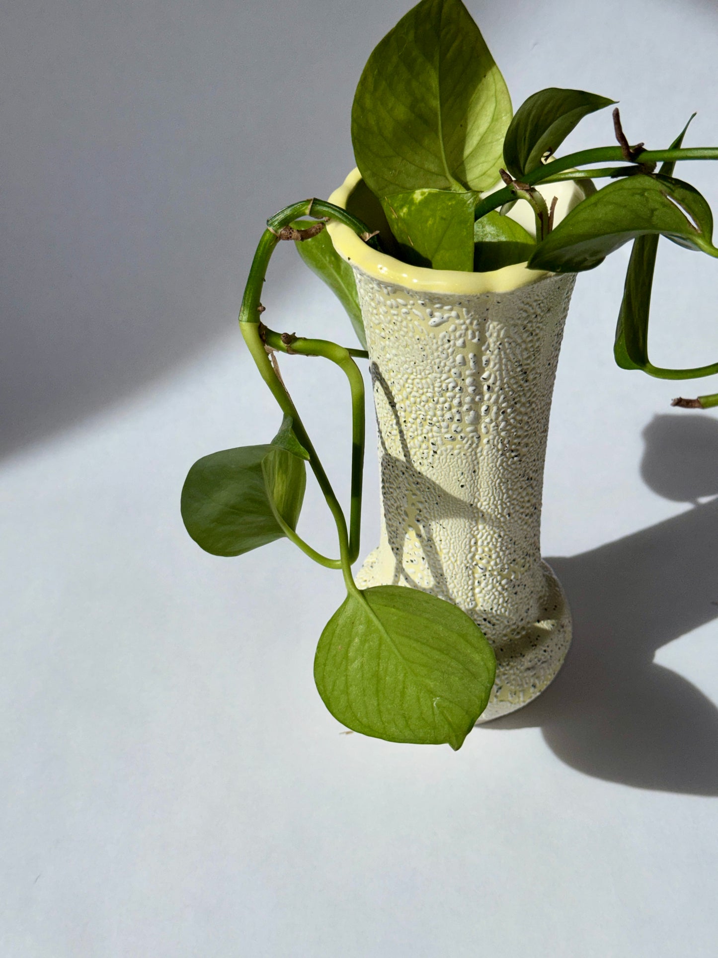 Vases