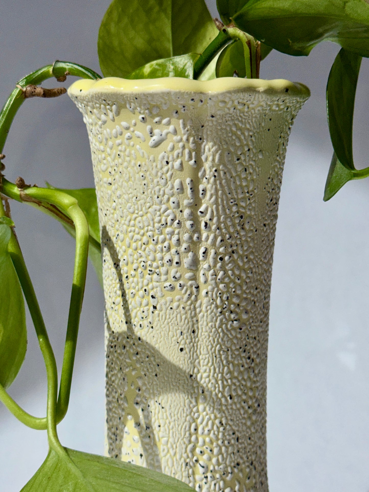 Vases